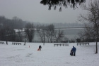2013年冬纽约的第三场雪早上