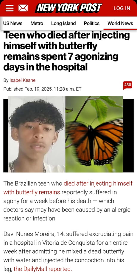 butterflylover.jpg